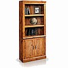 Craftsman Style Bookcase Library With Doors